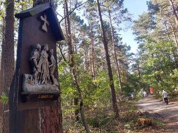 Wyjątkowe nabożeństwo w Dolinie Objawienia we wsi Kałuże
